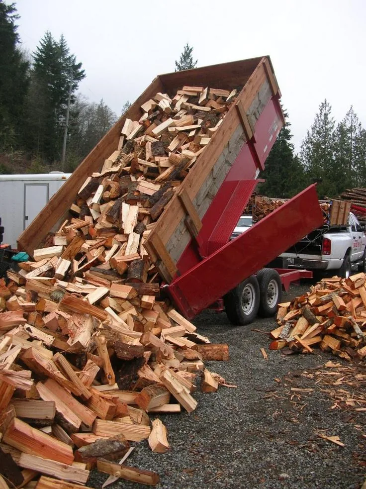 Camion chute bois