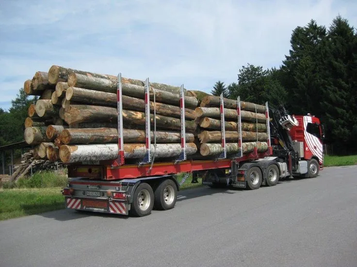 Volume camion complet de grumes